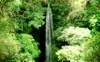 Foto Catarata Los Chorros, Grecia